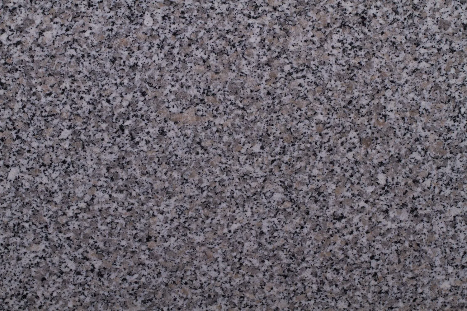 Rosa Beta — Granit